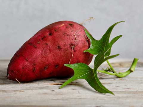 Zoete aardappel invriezen