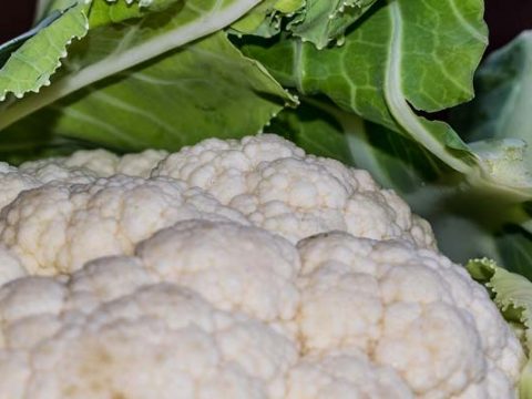 Bloemkool invriezen