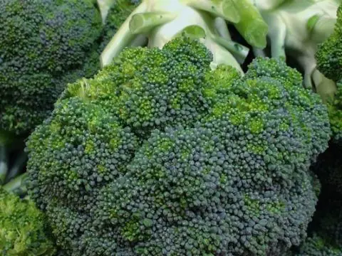 Broccoli invriezen