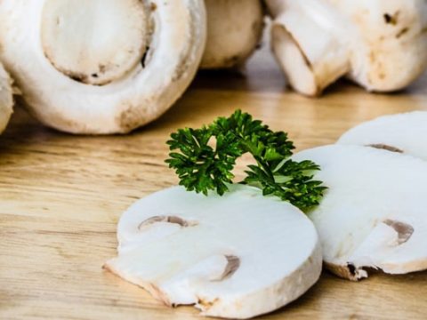 champignons invriezen