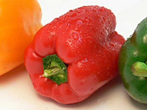 Paprika invriezen