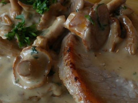 Champignonsaus invriezen