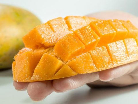 Mango Invriezen