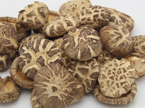 Shiitake Invriezen