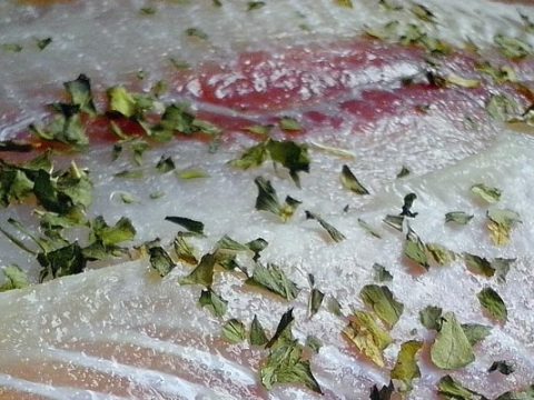 Pangasiusfilet invriezen