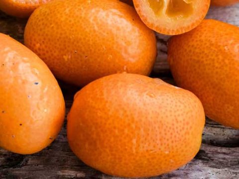 Kumquats invriezen