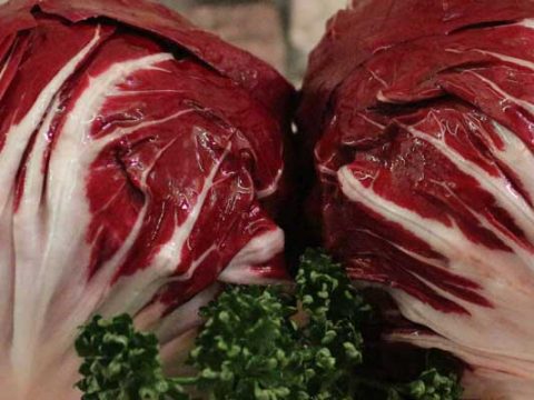 Radicchio invriezen