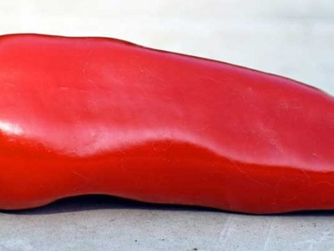 Jalapeño Invriezen