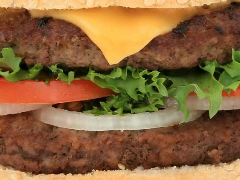 Hamburger invriezen