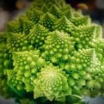 Romanesco