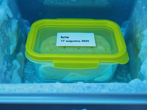 Brie invriezen