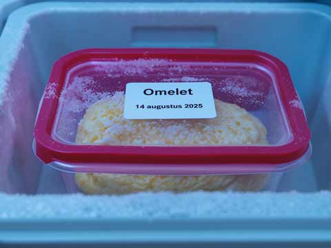 Omelet invriezen
