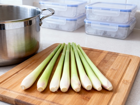 Citroengras invriezen