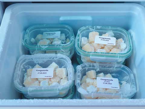 Gorgonzola invriezen