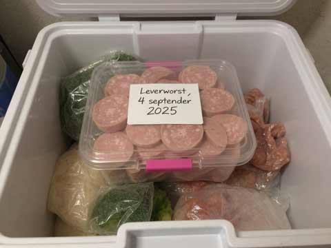 Leverworst invriezen