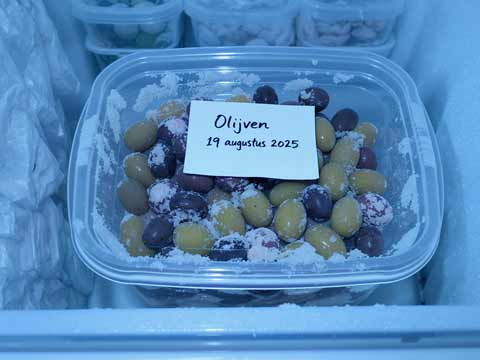 Olijven invriezen