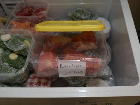 Runderlever invriezen