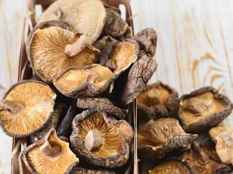 Shiitake drogen