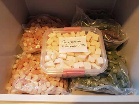 Schorseneren invriezen