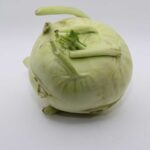 Een hele koolrabi, klaar om in te vriezen.