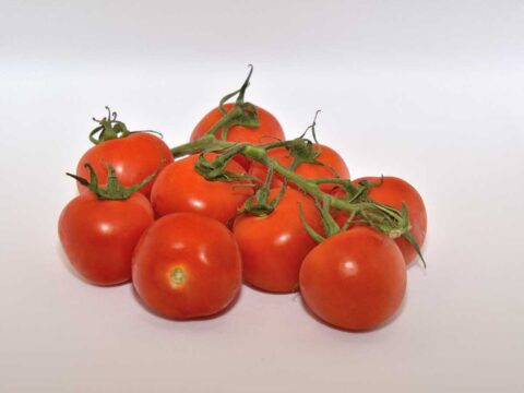 9 rijpe tomaten, klaar om in te vriezen.