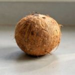 Een hele kokosnoot, die straks gekraakd wordt en waarvan de kokos wordt ingevroren.