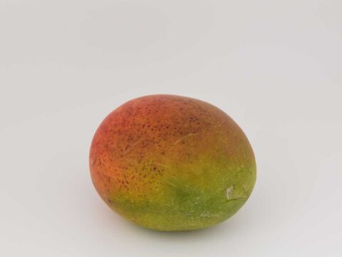 Schillen, pit verwijderen en in blokjes snijden. Dan gaat deze mango de vriezer in.